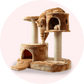 Cat Supplies