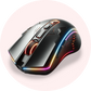 Computer & Gaming
